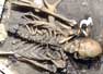Estudiaran restos de fósil gigante en Bolivia