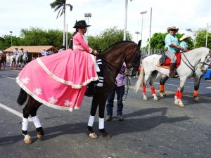 Desfile 3