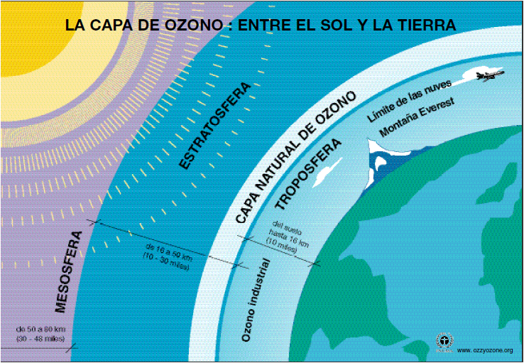 Imagen relacionada