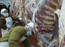 Exportación de carne a Rusia iniciará con 10 mil toneladas