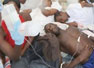 Haití: Cascos azules no provocaron la epidemia