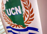 UCN convoca a postgrados