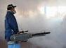 Minsa inicia guerra contra el dengue