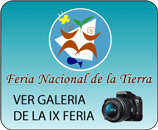 ver galeria