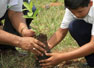 Pretenden sembrar 15 mil arbolitos en Nicaragua