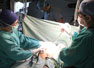 Inquietud internacional porque en Nicaragua no hay ley de trasplantes de órganos