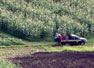 Producción agrícola nicaragüense garantizada con protocolo Global Gap