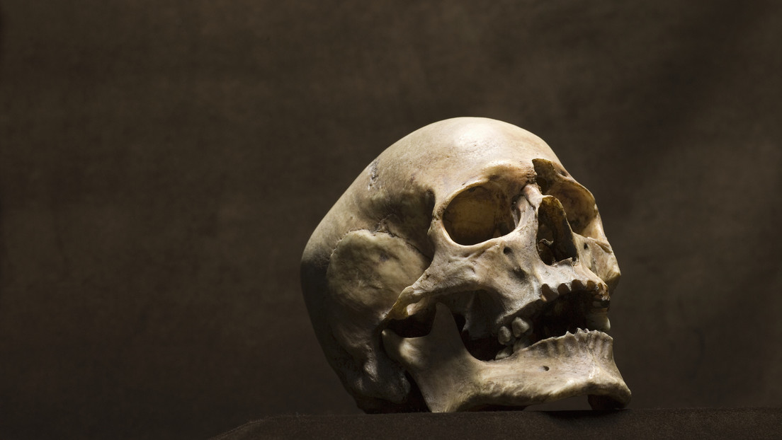 Alemania relaciona el ADN de cráneos robados en África durante la época colonial con familiares vivos Alemania relaciona el ADN de cráneos robados en África durante la época colonial con familiares vivos