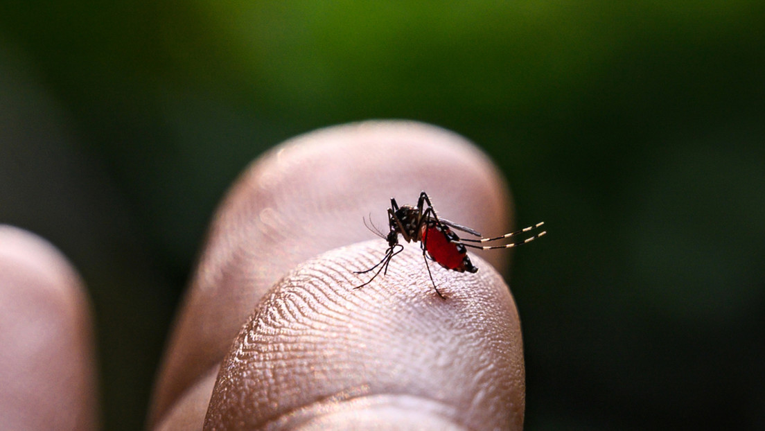 Confirman la primera muerte por un brote de dengue en el estado mexicano de Tabasco Confirman la primera muerte por un brote de dengue en el estado mexicano de Tabasco