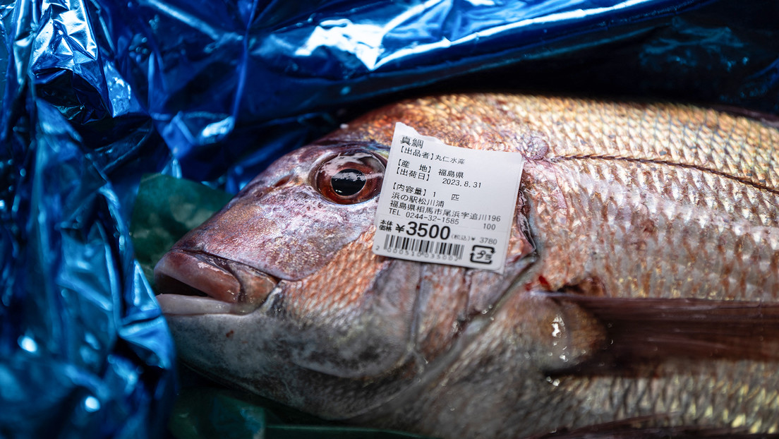 Exportaciones japonesas de mariscos a China se desploman tras el vertido de agua de Fukushima Exportaciones japonesas de mariscos a China se desploman tras el vertido de agua de Fukushima