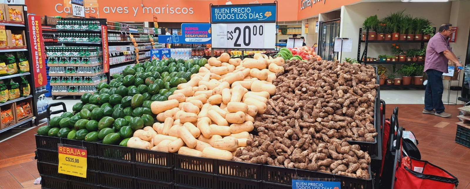 La pasión de un agricultor nicaragüense que impulsó el ayote de mantequilla en Walmart La pasión de un agricultor nicaragüense que impulsó el ayote de mantequilla en Walmart