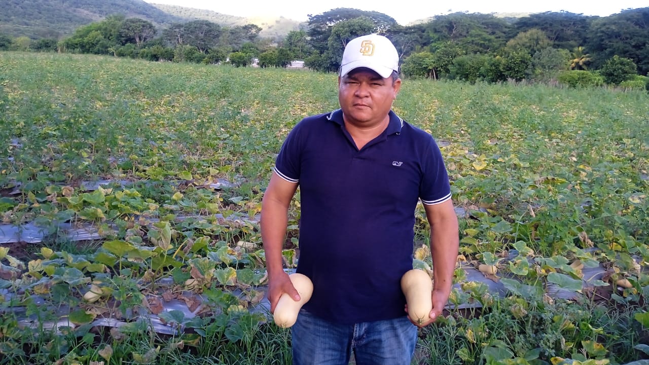 La pasión de un agricultor nicaragüense que impulsó el ayote de mantequilla en Walmart La pasión de un agricultor nicaragüense que impulsó el ayote de mantequilla en Walmart