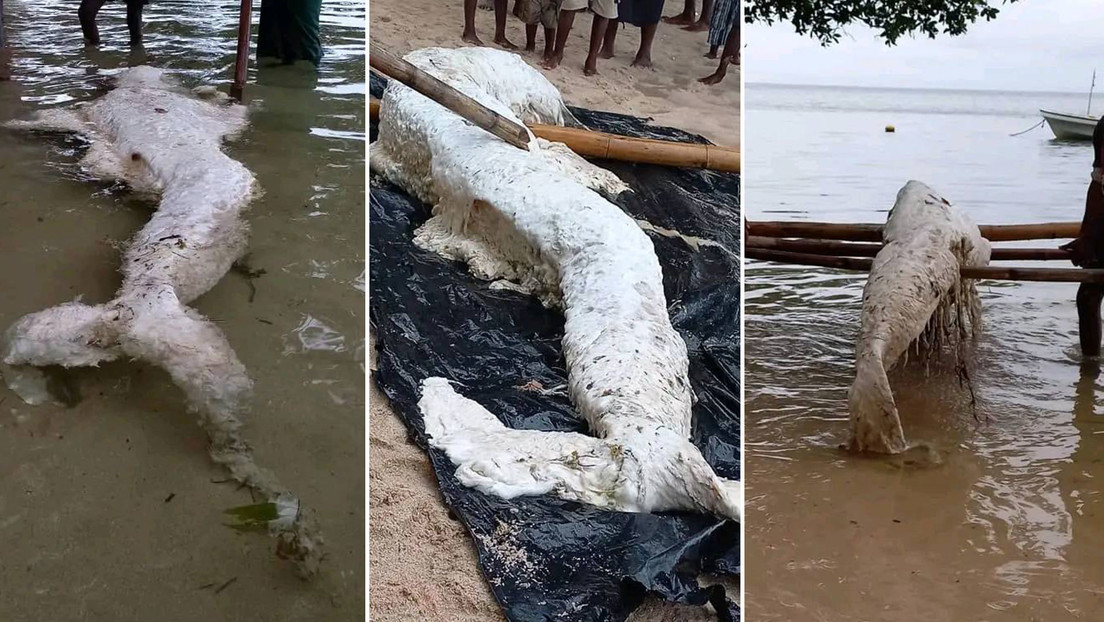 Bulto fantasmal aparecido en las costas de Papúa Nueva Guinea sigue siendo "una incógnita" Bulto fantasmal aparecido en las costas de Papúa Nueva Guinea sigue siendo "una incógnita"