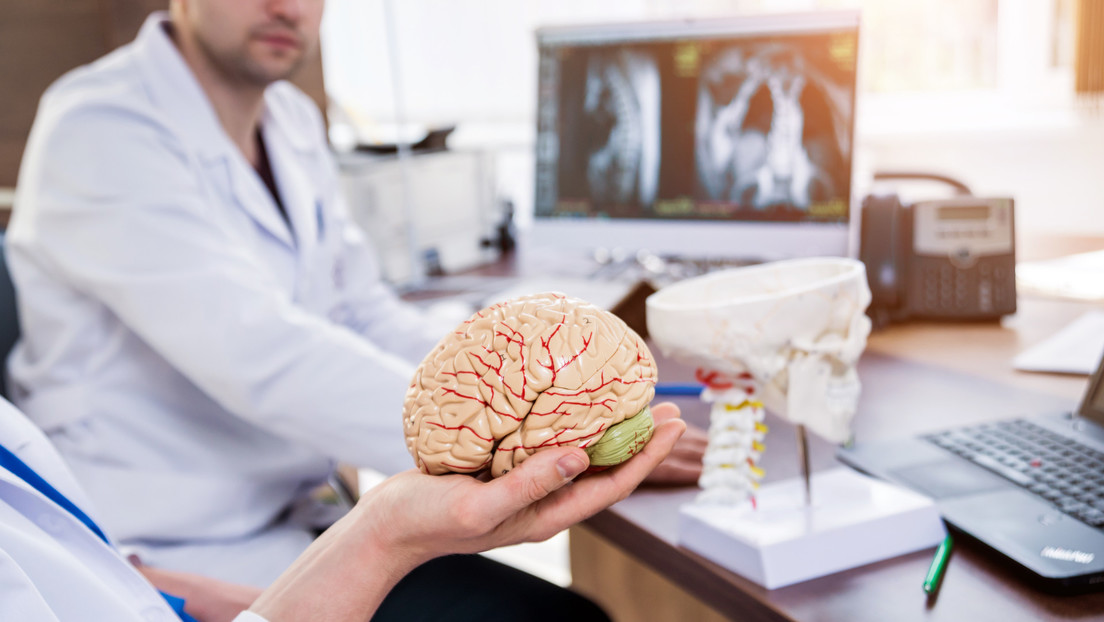 Descubren que las infecciones por hongos en el cerebro pueden causar síntomas similares al alzhéimer