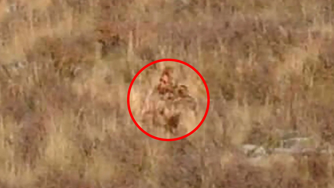 Explican el video de una pareja que dice haber visto y grabado a Pie