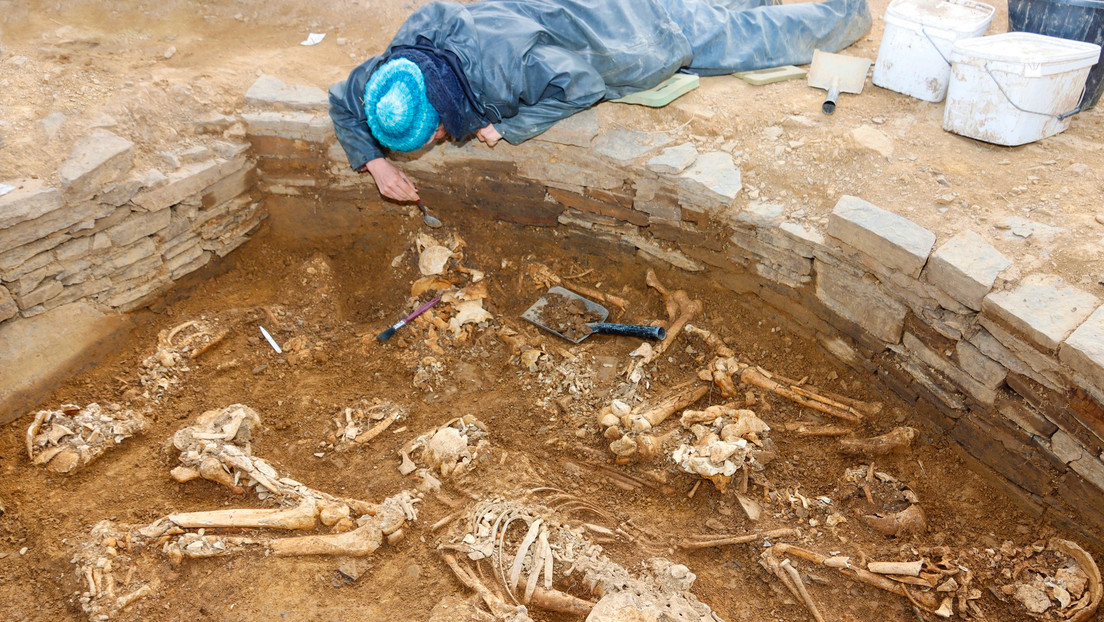 Hallan 14 esqueletos en una tumba de 5.000 años de antigüedad en el Reino Unido Hallan 14 esqueletos en una tumba de 5.000 años de antigüedad en el Reino Unido