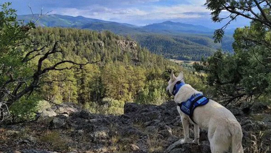 Hallan muerto a un turista desaparecido durante meses en EE.UU. junto a su perro vivo Hallan muerto a un turista desaparecido durante meses en EE.UU. junto a su perro vivo