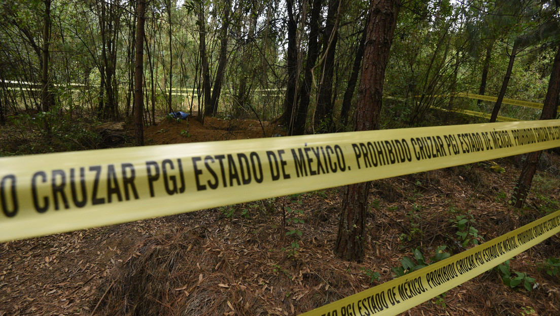 Perros con restos humanos en el hocico guían a las autoridades a una fosa clandestina en México