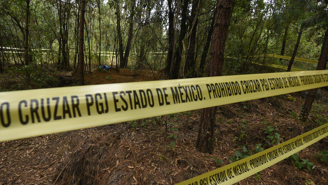 Perros con restos humanos en el hocico guían a las autoridades a una fosa clandestina en México Perros con restos humanos en el hocico guían a las autoridades a una fosa clandestina en México