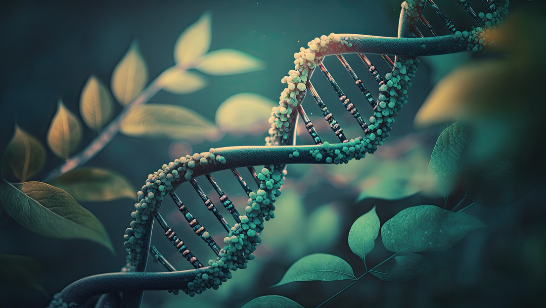 Reproducen una reacción química de la Tierra primitiva relacionada con el surgimiento de vida Reproducen una reacción química de la Tierra primitiva relacionada con el surgimiento de vida