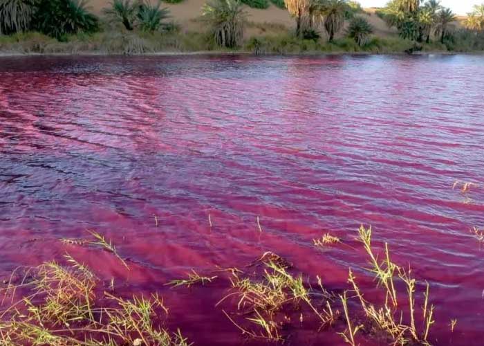El río se tiñe de rojo y causa conmoción en redes sociales (VIDEO)