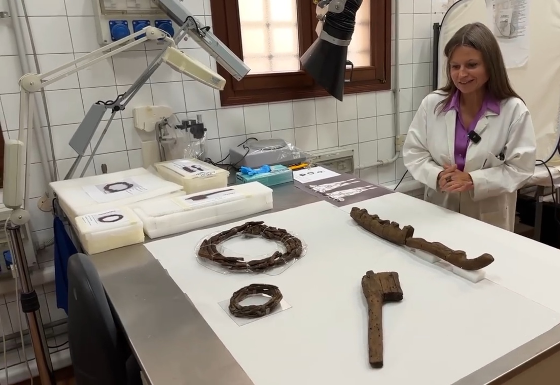 Un yugo de hace 3.300 años demuestra cuán pequeños eran los bovinos en la Edad de Bronce Un yugo de hace 3.300 años demuestra cuán pequeños eran los bovinos en la Edad de Bronce