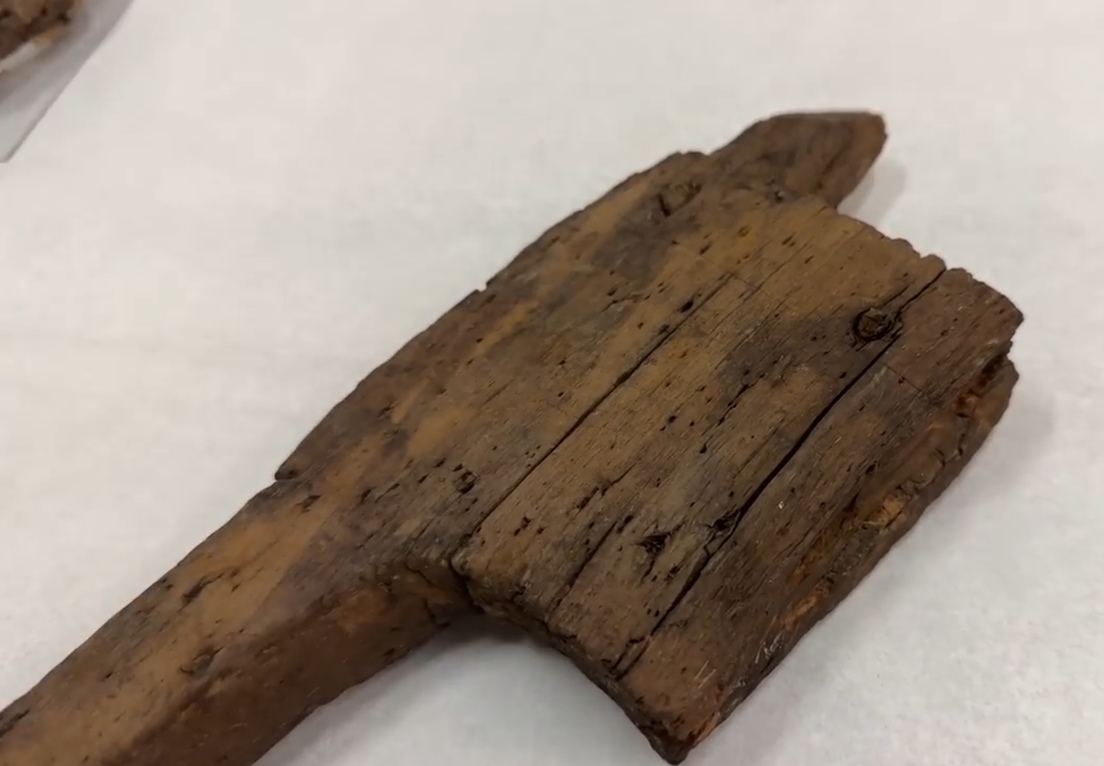 Un yugo de hace 3.300 años demuestra cuán pequeños eran los bovinos en la Edad de Bronce Un yugo de hace 3.300 años demuestra cuán pequeños eran los bovinos en la Edad de Bronce