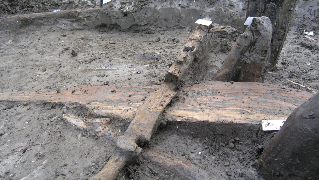 Un yugo de hace 3.300 años demuestra cuán pequeños eran los bovinos en la Edad de Bronce Un yugo de hace 3.300 años demuestra cuán pequeños eran los bovinos en la Edad de Bronce