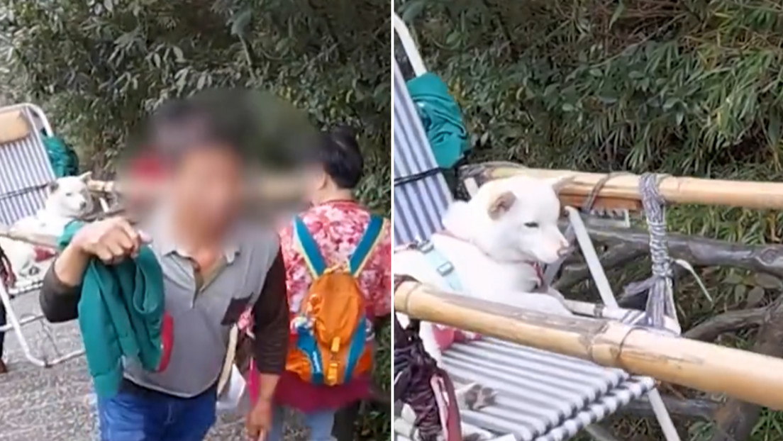 Una mujer paga para que lleven montaña arriba a su perro en una silla mientras ella sube andando (VIDEO)