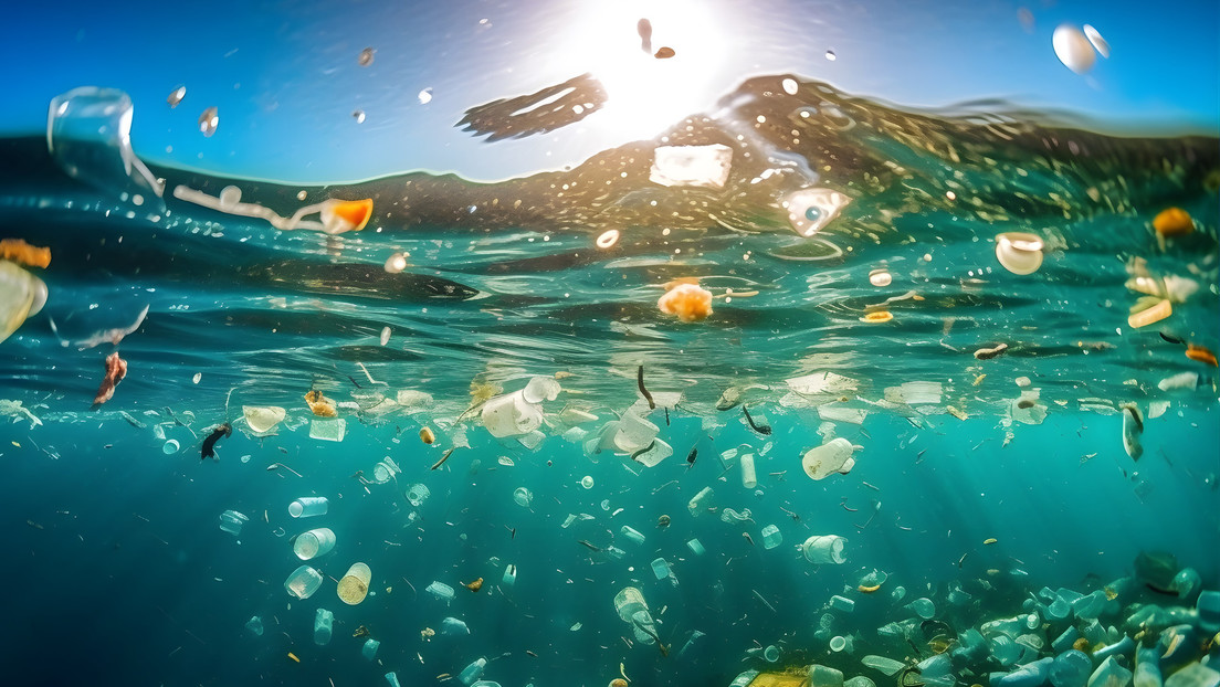 Cómo afectan los desechos plásticos a la reproducción de criaturas marinas y por qué es peligroso